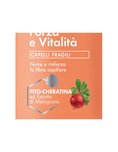 venus shampoo 250ml - forza e vitalita' - fito-cheratina - melograno: tuttocasashop.it: igiene e cura della persona