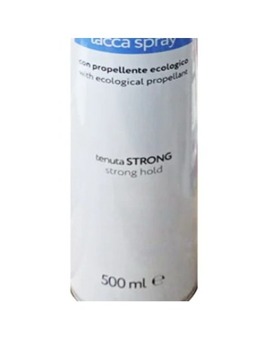 struktis lacca spray 500ml strong    143: tuttocasashop.it: igiene e cura della persona