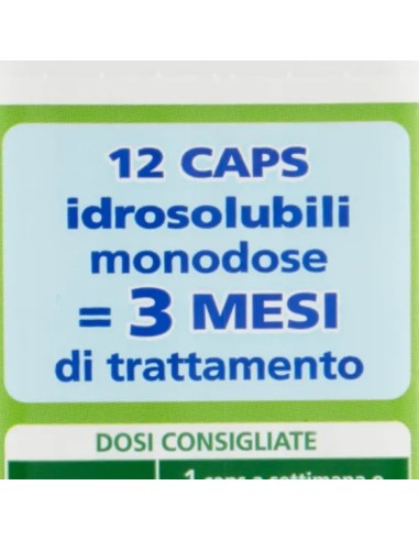 wc net fosse biologiche - 12 caps - evita cattivi odori ingorghi e spurghi: tuttocasashop.it: pulizia e cura della casa