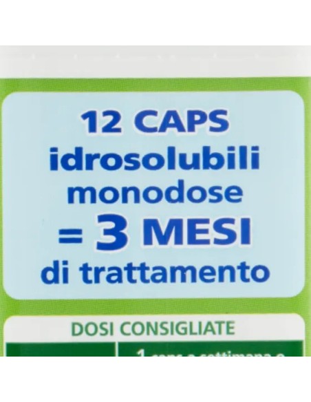 wc net fosse biologiche - 12 caps - evita cattivi odori ingorghi e spurghi: tuttocasashop.it: pulizia e cura della casa