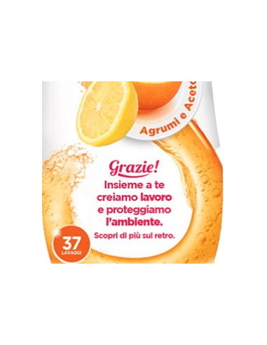scala detersivo gel per lavastoviglie - 37 lavaggi 750ml - agrumi e aceto: tuttocasashop.it: pulizia e cura della casa