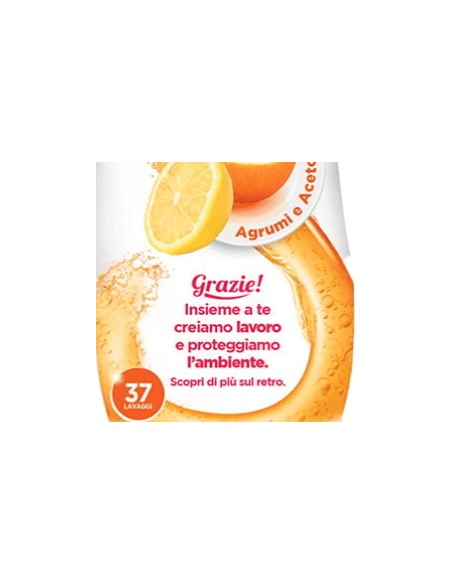 scala detersivo gel per lavastoviglie - 37 lavaggi 750ml - agrumi e aceto: tuttocasashop.it: pulizia e cura della casa
