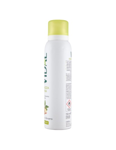 vidal deodorante spray - 150ml - freschezza intesa - bergamotto e zenzero: tuttocasashop.it: igiene e cura della persona