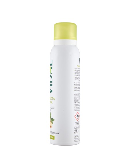 vidal deodorante spray - 150ml - freschezza intesa - bergamotto e zenzero: tuttocasashop.it: igiene e cura della persona