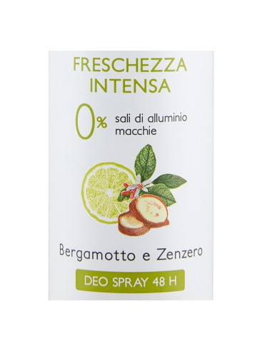 vidal deodorante spray - 150ml - freschezza intesa - bergamotto e zenzero: tuttocasashop.it: igiene e cura della persona