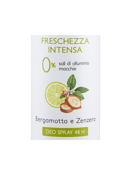 vidal deodorante spray - 150ml - freschezza intesa - bergamotto e zenzero: tuttocasashop.it: igiene e cura della persona