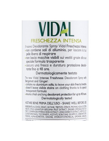 vidal deodorante spray - 150ml - freschezza intesa - bergamotto e zenzero: tuttocasashop.it: igiene e cura della persona