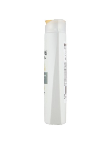 pantene pro-v shampoo balsamo e trattamento - 250ml - antiforfora: tuttocasashop.it: igiene e cura della persona