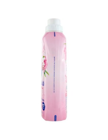 chanteclair ammorbidente concentrato 57 lavaggi 1140 ml - peonia e maglolia: tuttocasashop.it: prodotti per bucato e tessuti