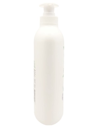 venus detergente intimo - maxi 500ml - fresco con antibatterico - eucalipto: tuttocasashop.it: igiene e cura della persona