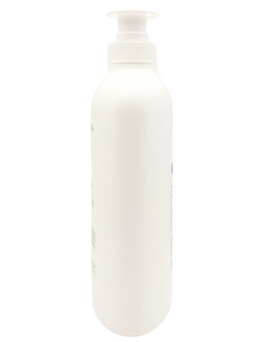 venus detergente intimo - maxi 500ml - fresco con antibatterico - eucalipto: tuttocasashop.it: igiene e cura della persona