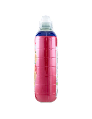 coccolino ammorbidente concentrato xxl 87 lavaggi 1827ml peonia rossa e mela: tuttocasashop.it: prodotti per bucato e tessuti