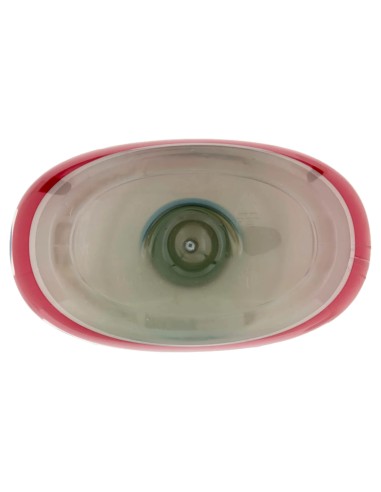 coccolino ammorbidente concentrato xxl 87 lavaggi 1827ml peonia rossa e mela: tuttocasashop.it: prodotti per bucato e tessuti