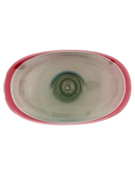 coccolino ammorbidente concentrato xxl 87 lavaggi 1827ml peonia rossa e mela: tuttocasashop.it: prodotti per bucato e tessuti