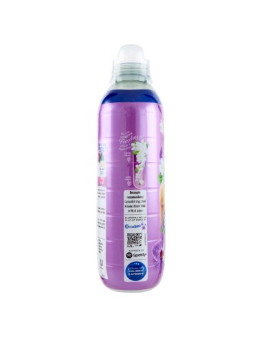 coccolino ammorbidente concentrato xxl 87 lavaggi 1827ml orchidea e mirtilli: tuttocasashop.it: prodotti per bucato e tessuti