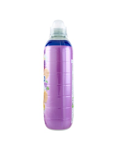 coccolino ammorbidente concentrato xxl 87 lavaggi 1827ml orchidea e mirtilli: tuttocasashop.it: prodotti per bucato e tessuti
