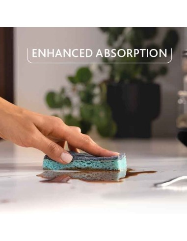 vileda pro clean spugne con abrasivo - 2 pezzi - viscosa: tuttocasashop.it: pulizia e cura della casa
