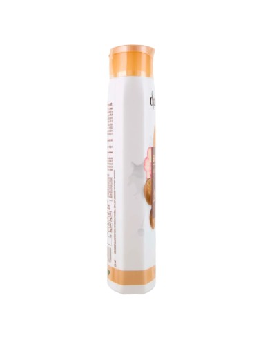 splend'or shampoo 300ml - cremoso latte di madorla e karite - capelli ricci: tuttocasashop.it: igiene e cura della persona