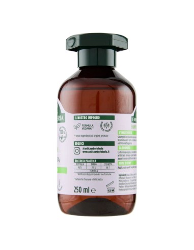antica erboristeria shampoo 250ml - lavanda - illuminante - capelli normali: tuttocasashop.it: igiene e cura della persona