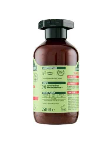 antica erboristeria shampoo 250ml - ortica - seboregolatore - capelli grassi: tuttocasashop.it: igiene e cura della persona
