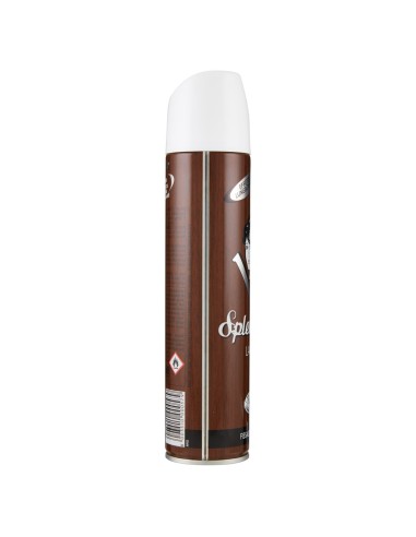 splend'or lacca spray per capelli 300ml - fissaggio forte: tuttocasashop.it: igiene e cura della persona