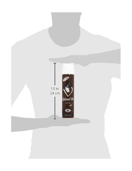 splend'or lacca spray per capelli 300ml - fissaggio forte: tuttocasashop.it: igiene e cura della persona