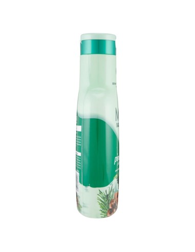 malizia bagnoschiuma 1000ml - pino e te' verde: tuttocasashop.it: igiene e cura della persona