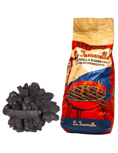 la fornacella carbone di legna - 2.5 kg - bbq - barbecue grill arrosto: tuttocasashop.it: altro - bazar