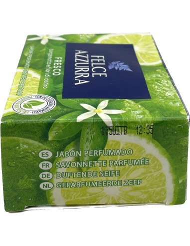 felce azzurra sapone solido - 100 grammi - fresco: tuttocasashop.it: igiene e cura della persona