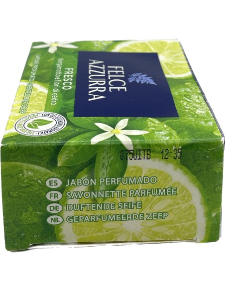 felce azzurra sapone solido - 100 grammi - fresco: tuttocasashop.it: igiene e cura della persona