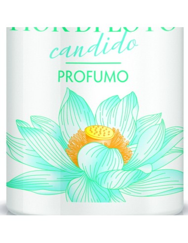 giardino dei sensi deo profumo vapo - 100ml - fiori di loto: tuttocasashop.it: igiene e cura della persona