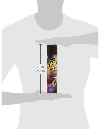 flash 23 scarafaggi e formiche insetticidia spray 250ml: tuttocasashop.it: pulizia e cura della casa