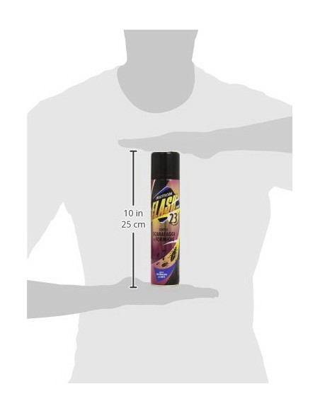 flash 23 scarafaggi e formiche insetticidia spray 250ml: tuttocasashop.it: pulizia e cura della casa