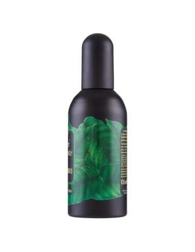 tesori d'oriente profumo aromatico vapo 100ml - sandalo e vetiver: tuttocasashop.it: igiene e cura della persona