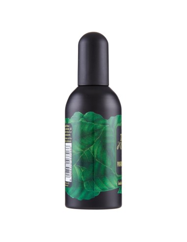 tesori d'oriente profumo aromatico vapo 100ml - sandalo e vetiver: tuttocasashop.it: igiene e cura della persona
