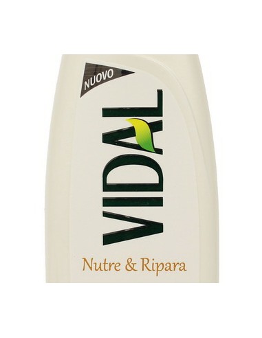 vidal shampoo 250ml - nutre & ripara capelli secchi olio di argan e ceramidi: tuttocasashop.it: igiene e cura della persona