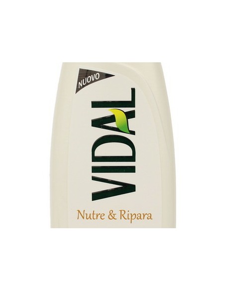 vidal shampoo 250ml - nutre & ripara capelli secchi olio di argan e ceramidi: tuttocasashop.it: igiene e cura della persona