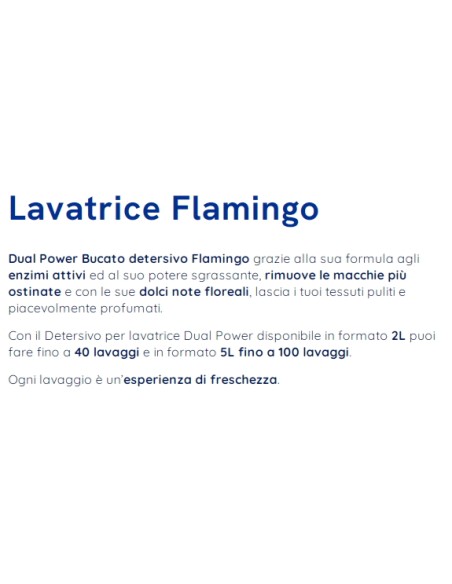 dual power detersivo liquido lavatrice - 40 lavaggi 2000ml - flamingo: tuttocasashop.it: prodotti per bucato e tessuti