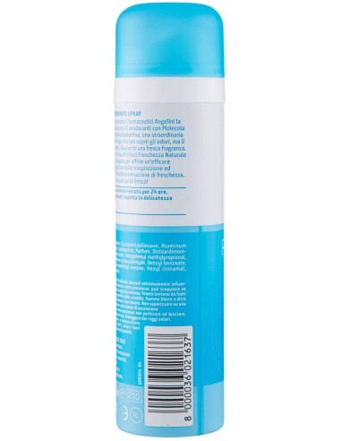 infasil deodorante spray - 150ml - freschezza naturale no alcool 24h 2c: tuttocasashop.it: igiene e cura della persona