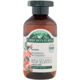 Antica Erboristeria Shampoo 250ml - Rosa E Mirtillo Rosso - Capelli Secchi
