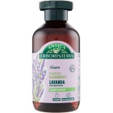 Antica Erboristeria Shampoo 250ml - Lavanda