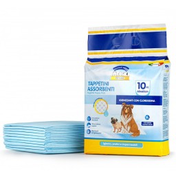 Clendy 10 Traverse Per Animali 60x60cm - Tappetini Assorbenti Multiuso
