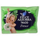 Felce Azzurra Talco - Busta Da 100 Grammi - Fresco