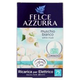 Felce Azzurra Aria Di Casa Ricarica Per Diffusore Elettrico - Muschio Bianco