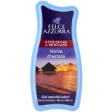 Felce Azzurra Aria Di Casa Gel 140g - Notti D'estate