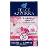 Felce Azzurra Aria Di Casa Ricarica Per Diffusore Elettrico - Ciliegia