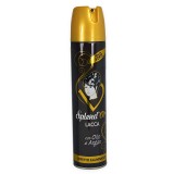 Splend'or Lacca Spray Per Capelli 300ml - Con Argan