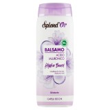 Splend'or Balsamo Per Capelli 300ml - Acido Ialuronico - Capelli Secchi