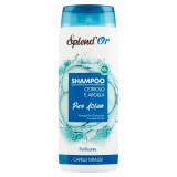 Splend'or Shampoo 300ml - Cetriolo E Argilla - Purificante - Capelli Grassi