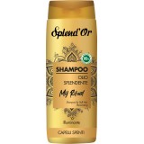 Splend'or Shampoo 300ml - Olio Splendente My Ritual - Capelli Spenti